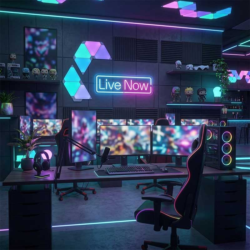 Live Now – Streaming Status Sign 3