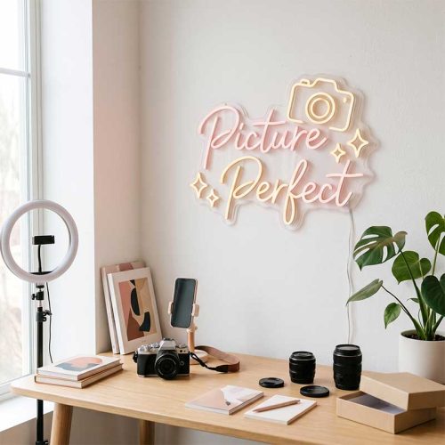 Picture Perfect – Vlog Photo Prop
